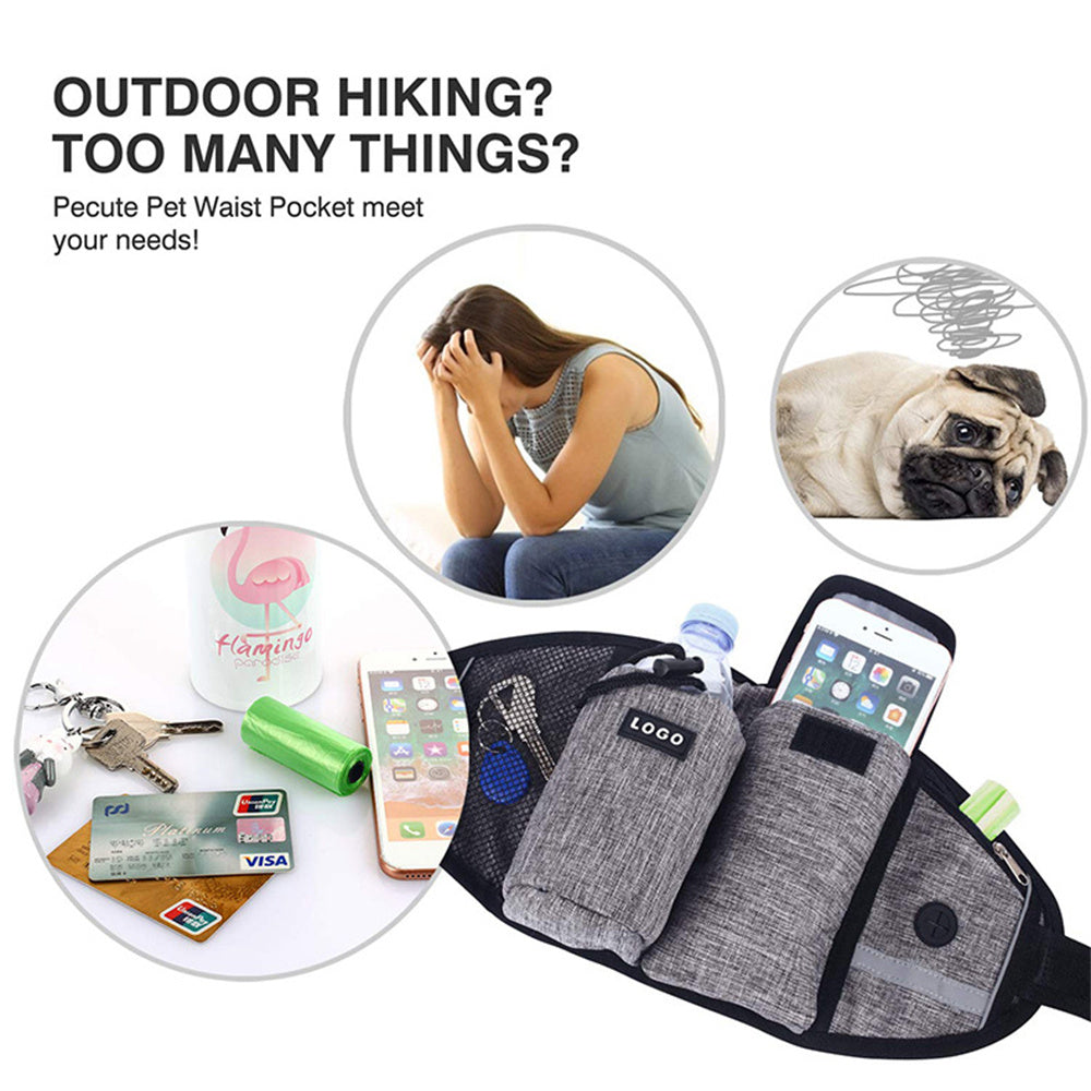 Hands-Free Dog Leash – Run, Walk & Train Together Easily