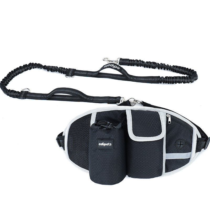 Hands-Free Dog Leash – Run, Walk & Train Together Easily