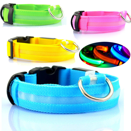LED Safety Dog Collar – Keep Your Pet Visible at Night