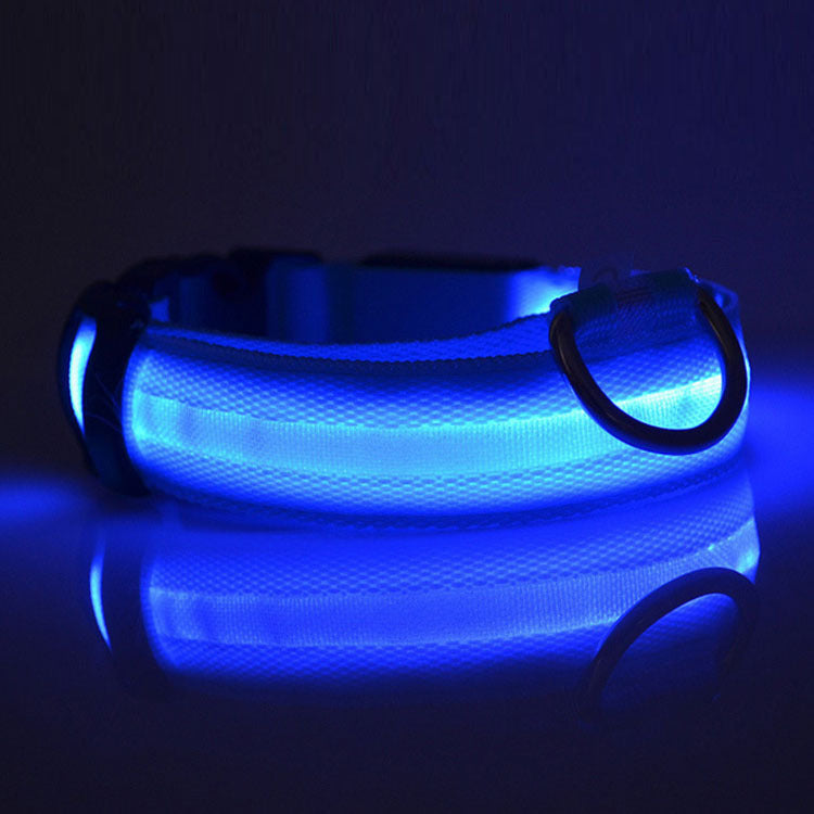 LED Safety Dog Collar – Keep Your Pet Visible at Night